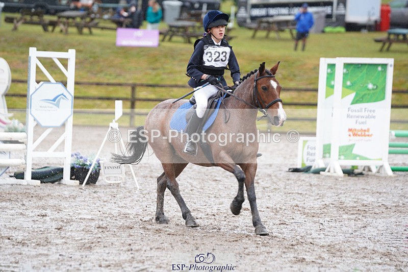 240824X-091224-20603 - 70cm Round 1 8.30 to 9.30