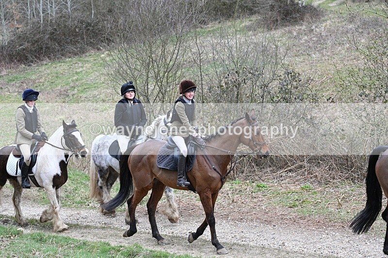 WJ7_7392 - Walk Home