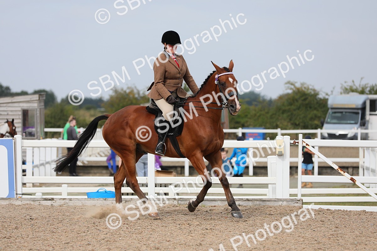 SBM_16962 - Class 314 Family Horse/Pony
