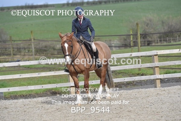 BPP_9544 - RING 2 - M&M