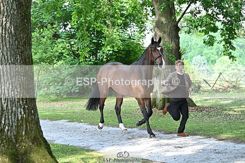 250521A-162945-01177 - C-226-Finn.Healy-KILBUNNY.CATCH.ME