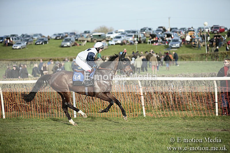 PtP 230319 506 - VWH Hunt Siddington Point-to-Point Racing 23/03/19
