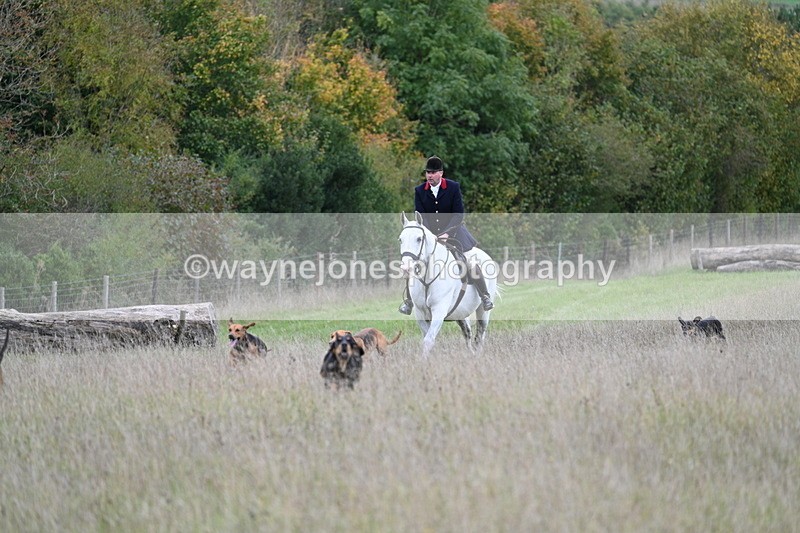 WJ7_3552 - Camera 1 Line 1