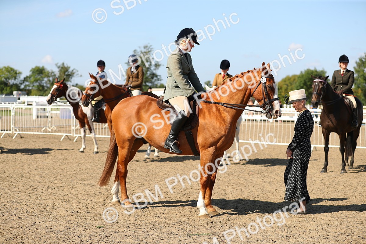 SBM_02362 - Class 43 Ridden Competition Horse/Pony
