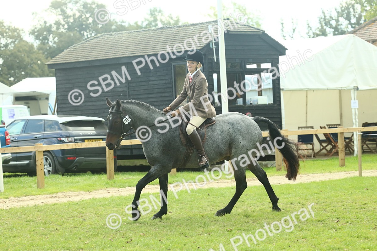 SBM_62615 - S63 - Other Coloured Horse Ridden