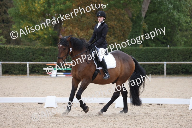 20250820-0358 - Class 11 - My Quest Novice 3