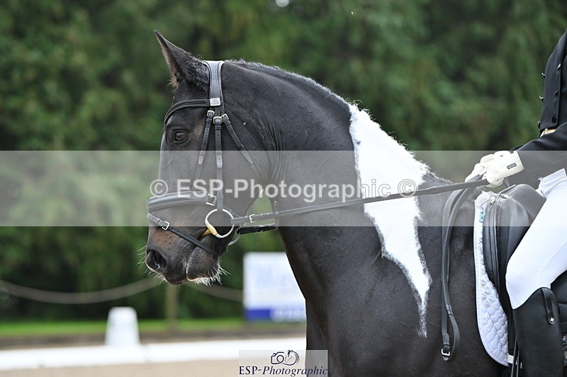 231019-102929-01882 - 101-RICARDO.COLOURS.II-Elizabeth.Wadey-DR