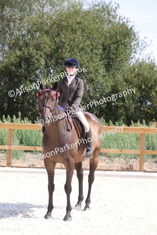 20260802-0744 - Class 8 - Best Riding Horse or Pony
