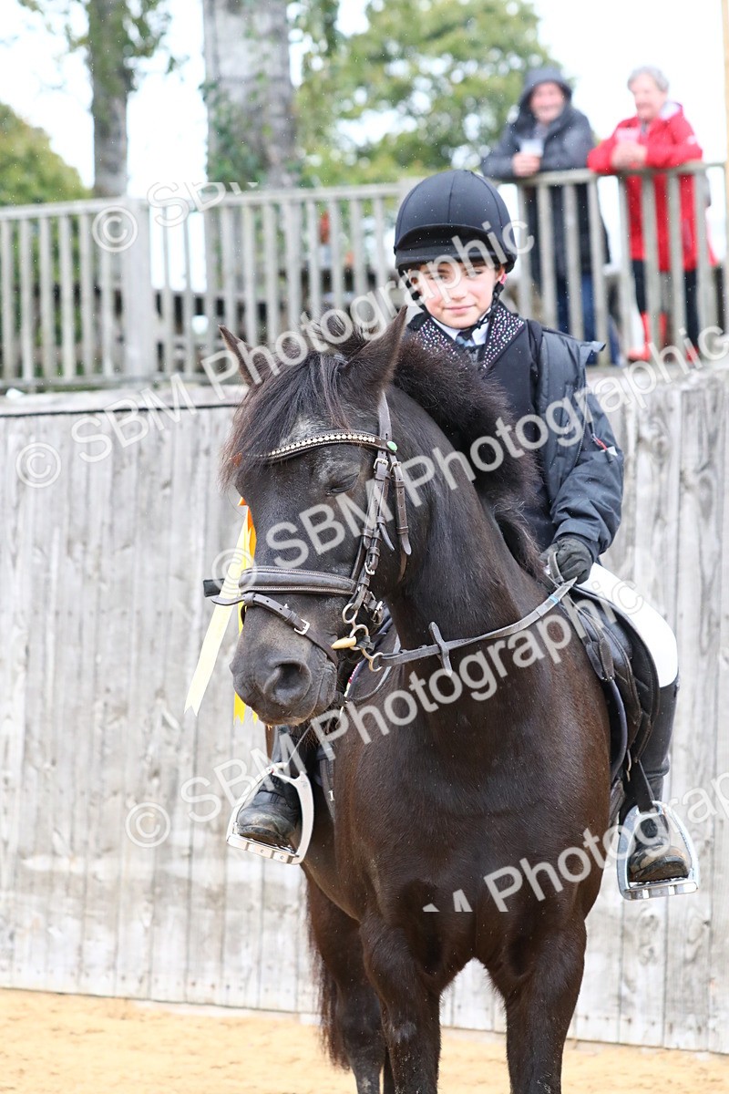 SBM_72123 - J3b - Mini Tour Junior Pony 40cm Championship