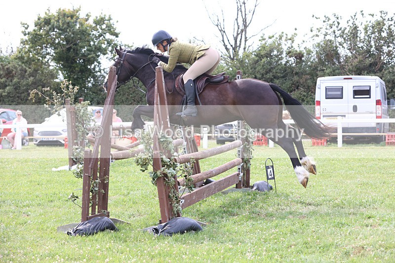 JPP_4026 - Class 24: Working Hunter 90cm