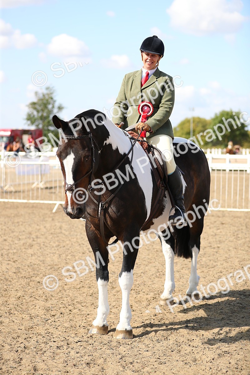 SBM_03270 - Class 44 Riding Club Horse/ Pony