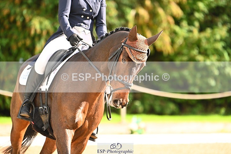 231020-140230-10150 - 203-VAN.WILDER-Mia.Ketcher-DR