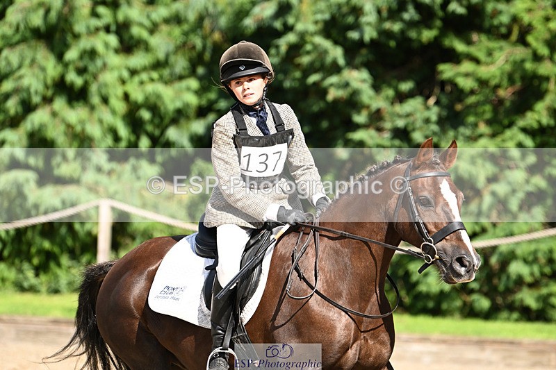 240824X-153614-29695 - 80cm Round 2 15.30 to 16.50