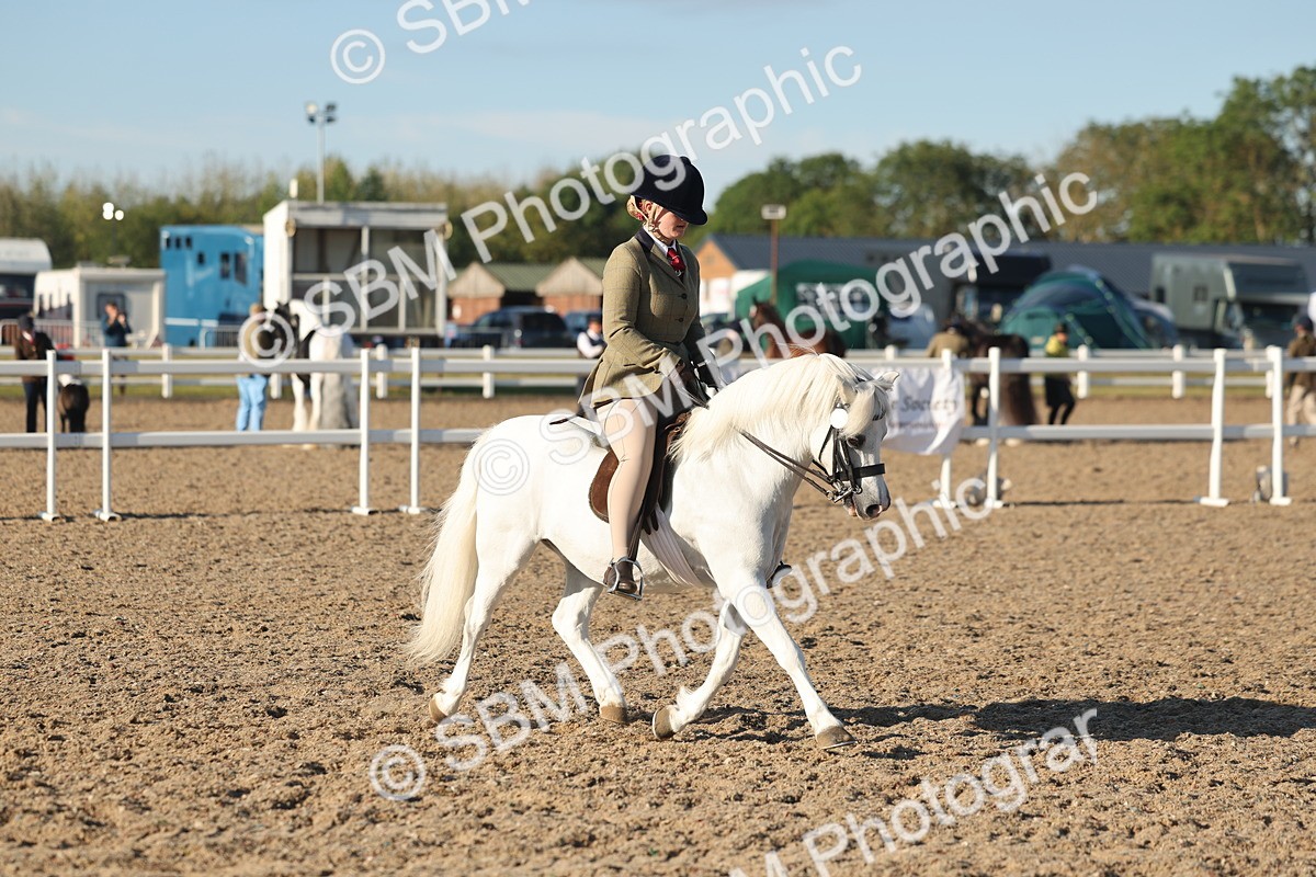 SBM_10908 - Class 301 - Ridden M&M Small Breeds