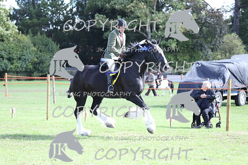 APP_3769 - Class 8 Ridden Class