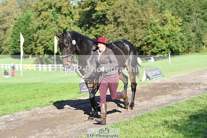 231022-105330-23567 - 473-COUNTING.STARS-Victoria.Newitt-TrotUp+SJ