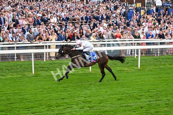 230825-Race 4-Ethical Diamond-0593 - Race 4 3.35pm Sky Bet Ebor Handicap