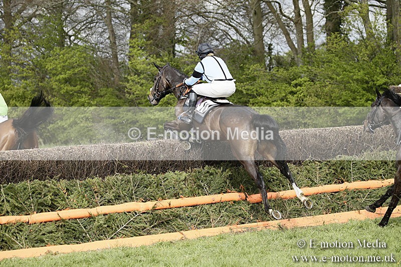 PtP 170417 307 - Old Berks Point-to-Point Lockinge 17/04/17