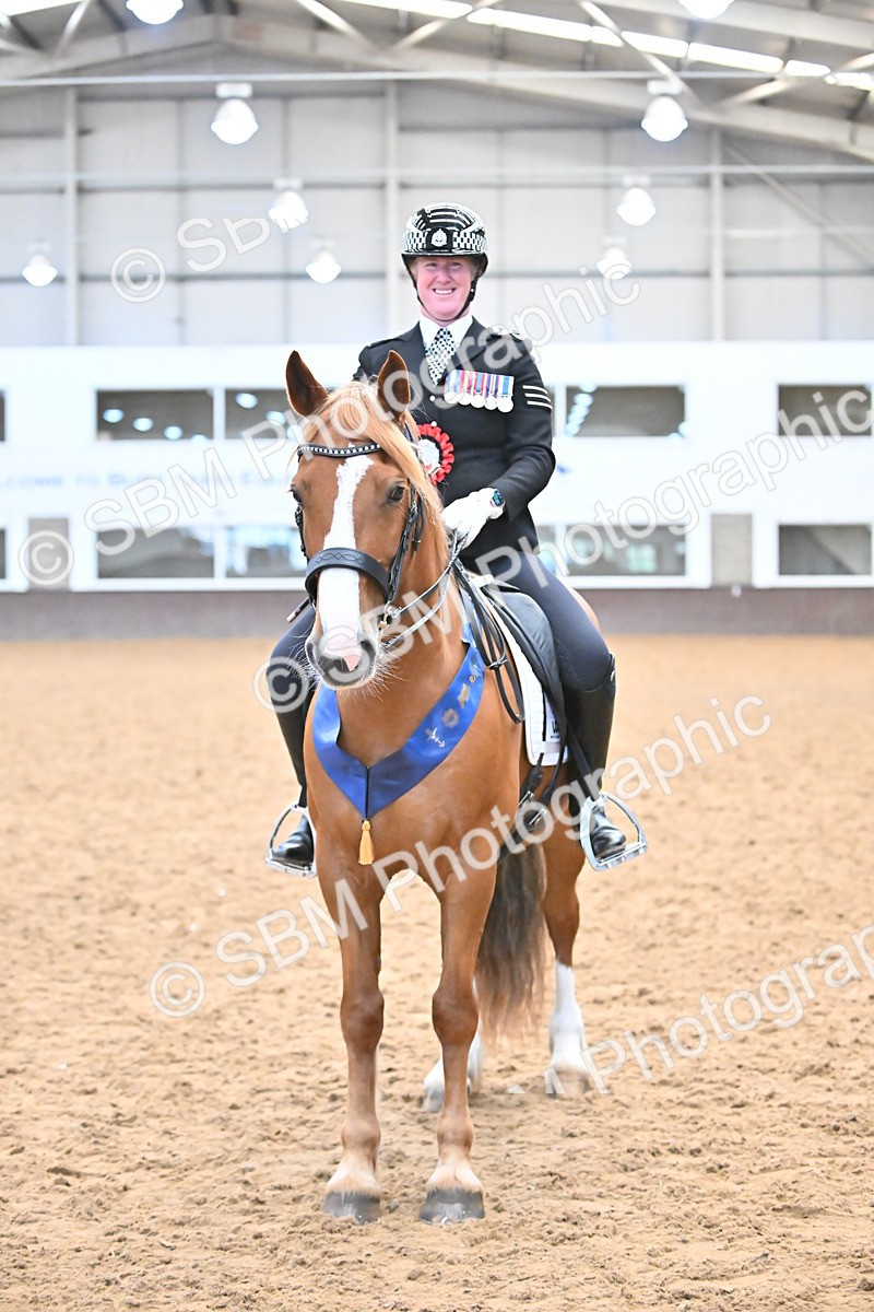 SBM_002771 - Ridden Showing Supreme Championships