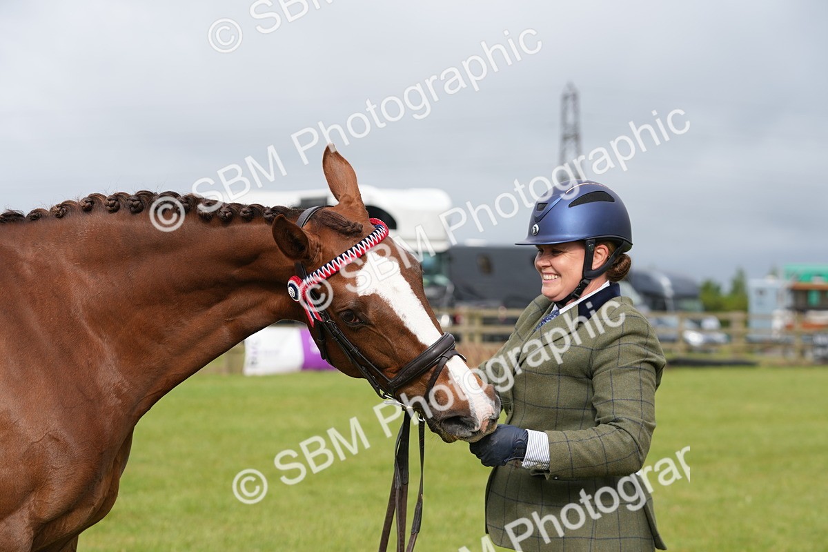 SBM_10625 - Class 97-98 - LIHS BSHA Rising Star Working Show Horse Hunter