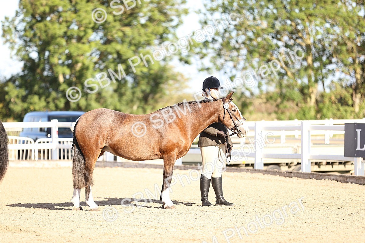 SBM_08403