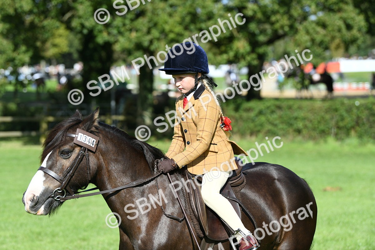 SBM_50357 - S21 - Novice & Newcomers 1st Ridden Pony