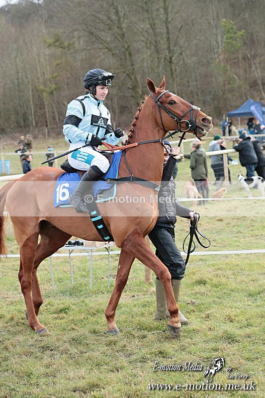 PtP 220225 217 - Kimblewick Point-to-Point  Kingston Blount 22/02/25