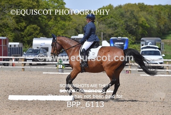 BPP_6113 - 24 L HAMILTON