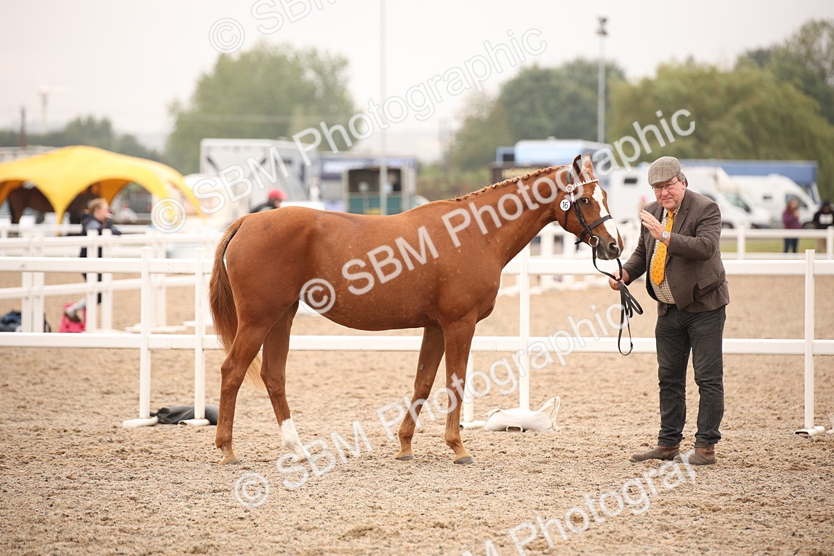 SBM_22115 - Class 707 - Ridden Groom-Helpers Class