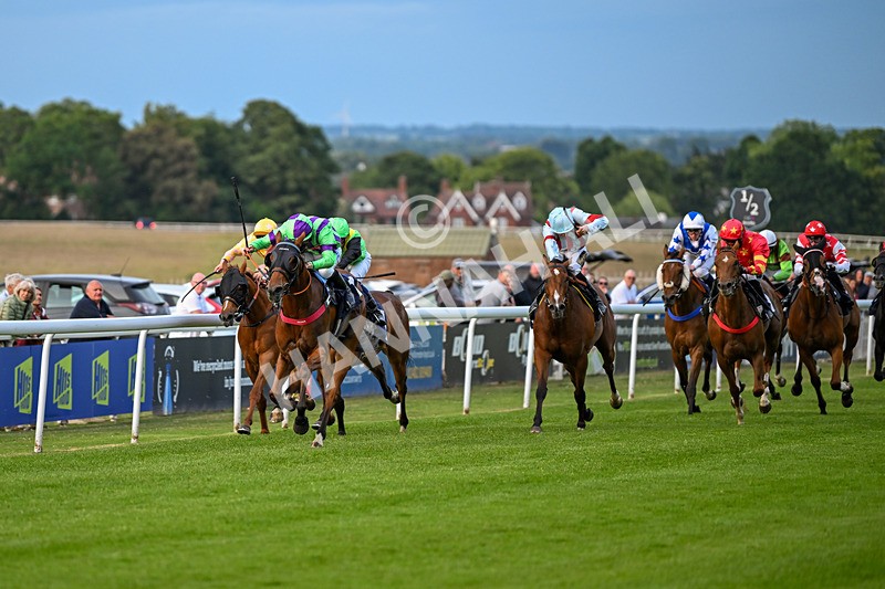 170625-Race 6-Triple Force-7452 - Race 6