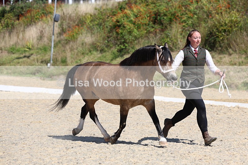 3E7A9681 - Class 32: Best Grass Kept