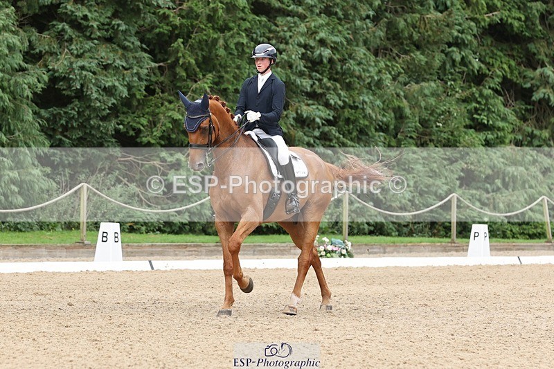 240810-155645-04122 - 208-Tom.Carter-Rubin.Regal