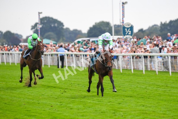 100923-Race 3-Yorkindness-0639 - Race 3 2.45pm Fine Details Vehicle Valeting Handicap