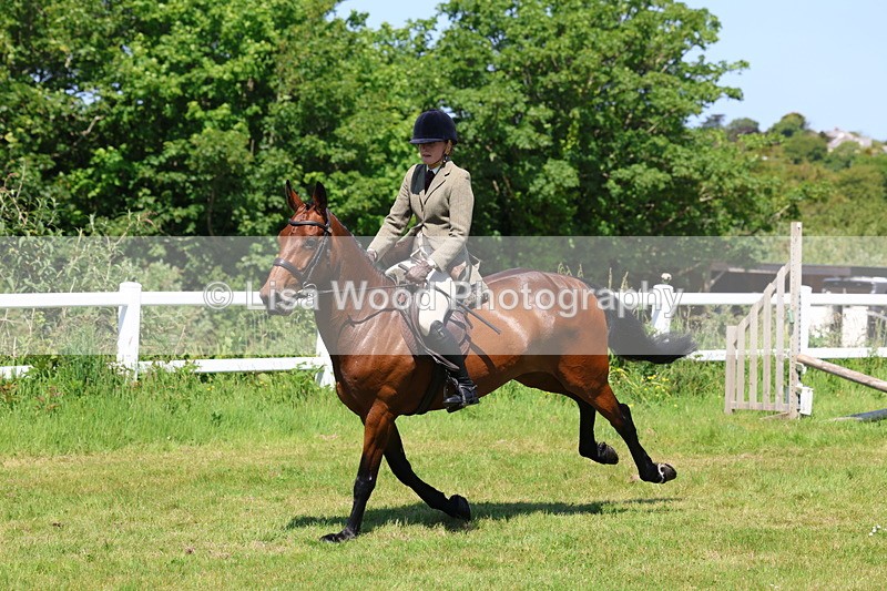 3E7A7305 - Class 30: Novice Working Hunter