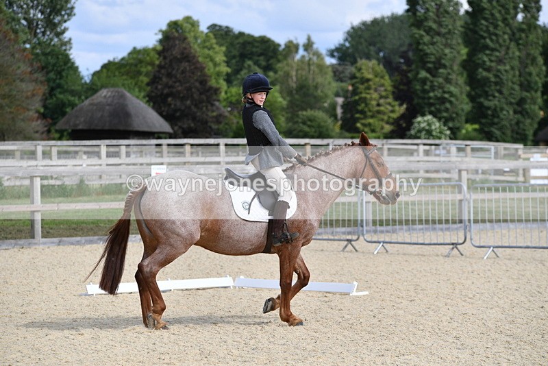 WJ5_7508 - Time 16:25 to 16:37