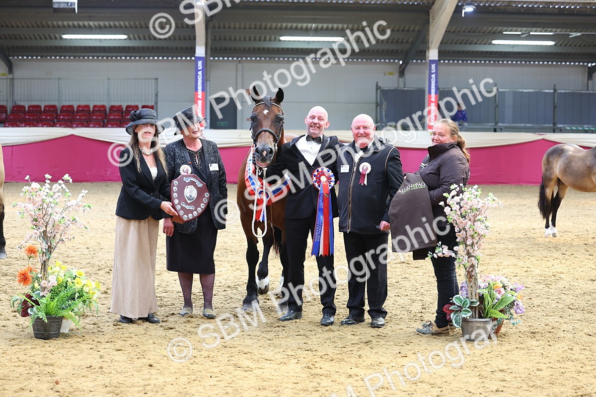 SBM_23248 - Supreme Final - IH Champion