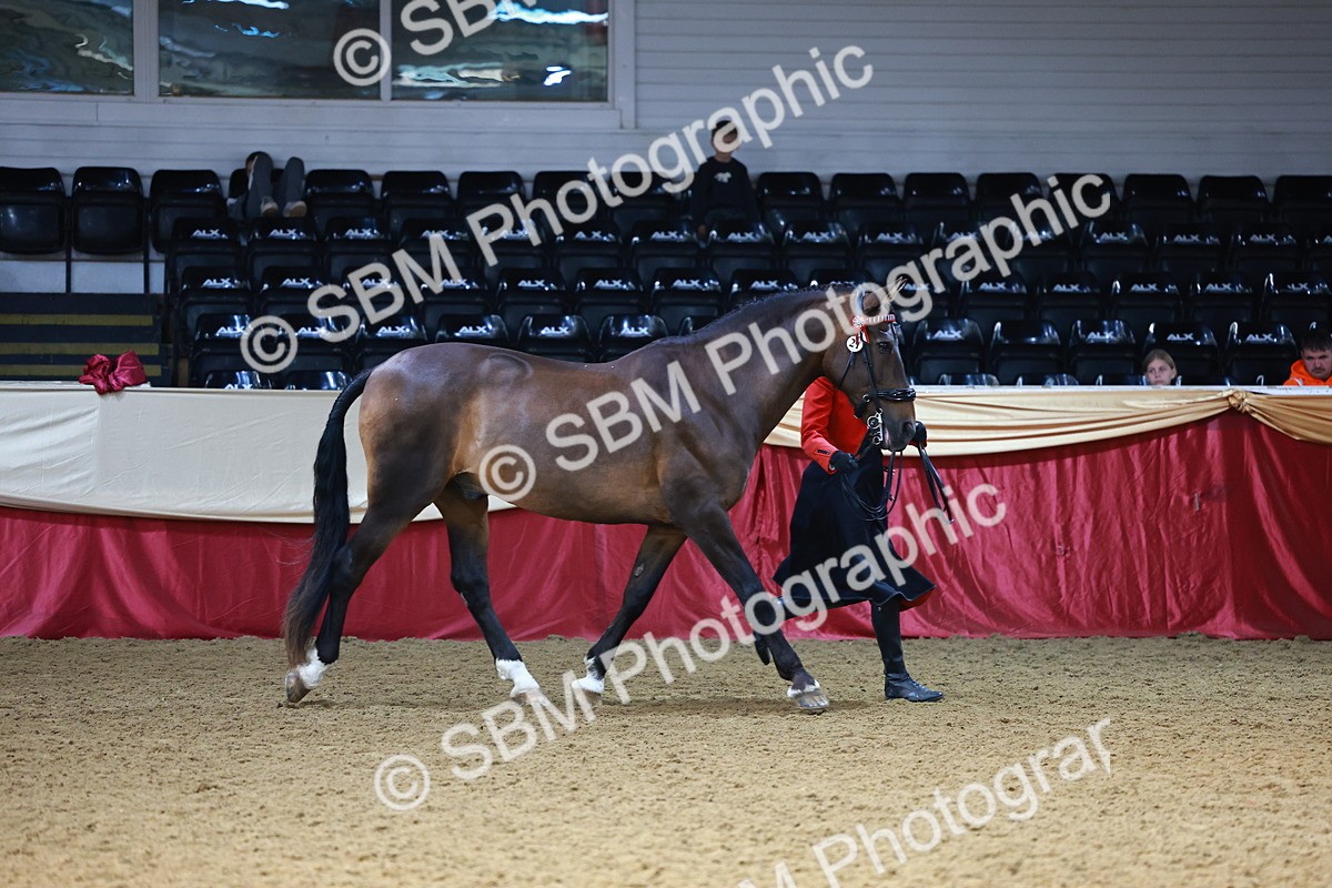 SBM_22357 - Class 902 - Supreme Final - IH Diamond