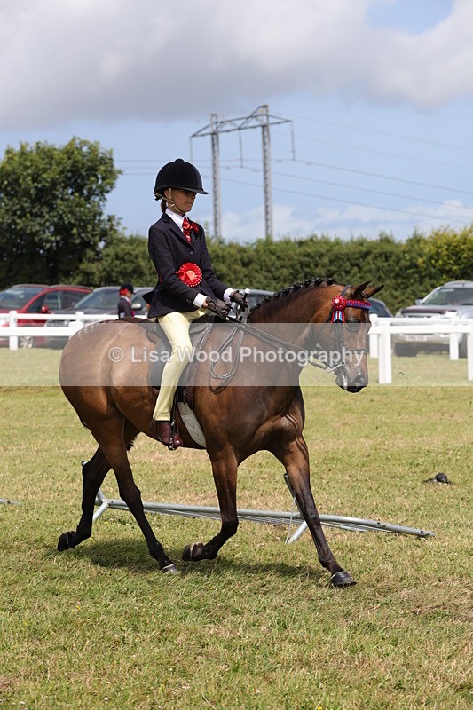 1X9A4220 - Plaited Ridden Championship