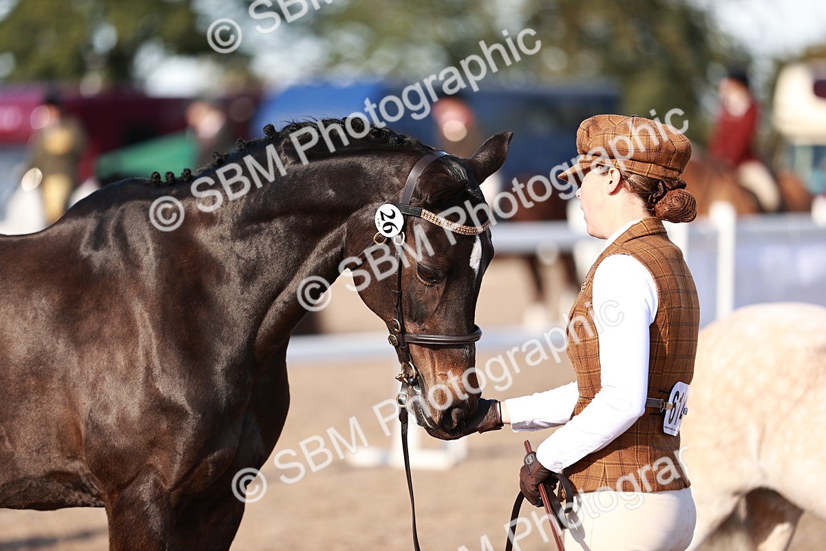 SBM_11397 - Class 402 - IH  Veteran pony