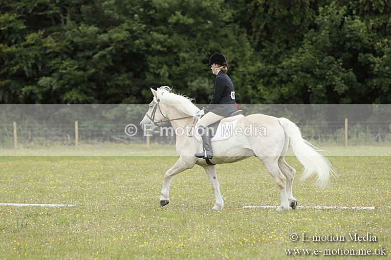 BVR160717-1215 - Class 2 Dressage 16/07/17
