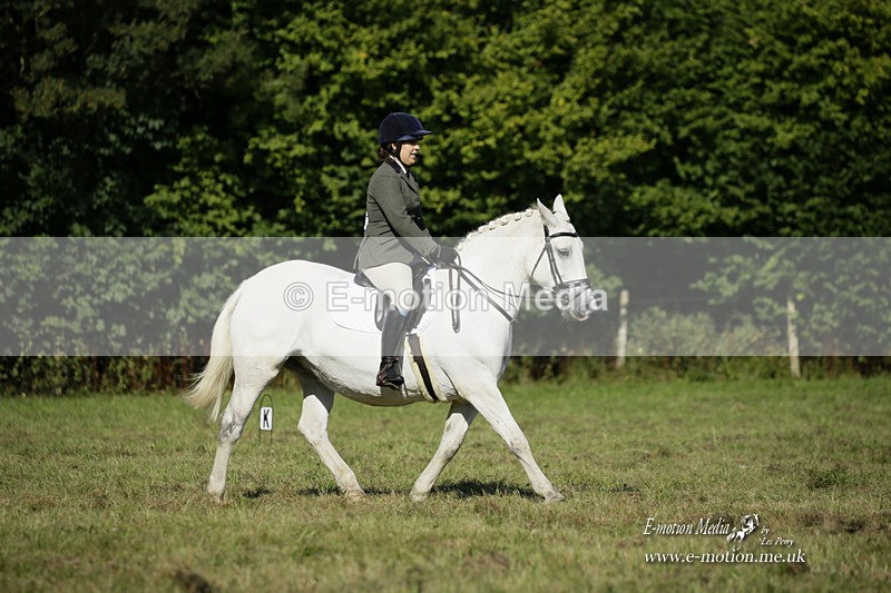 BVRC 120921 193 - Bourne Valley Riding Club UA Dressage & Show Jumping 12/09/21