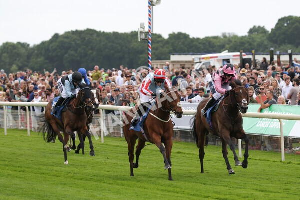 yr11062022r2-77 - Race 2 2.00pm Queen Mother's Cup