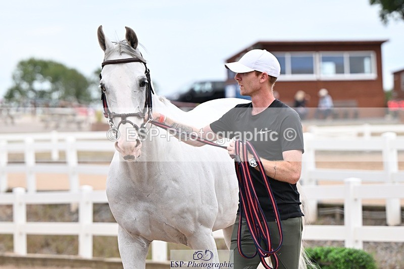 250716-155003-02213 - Trot Up 3.30 to 4.30