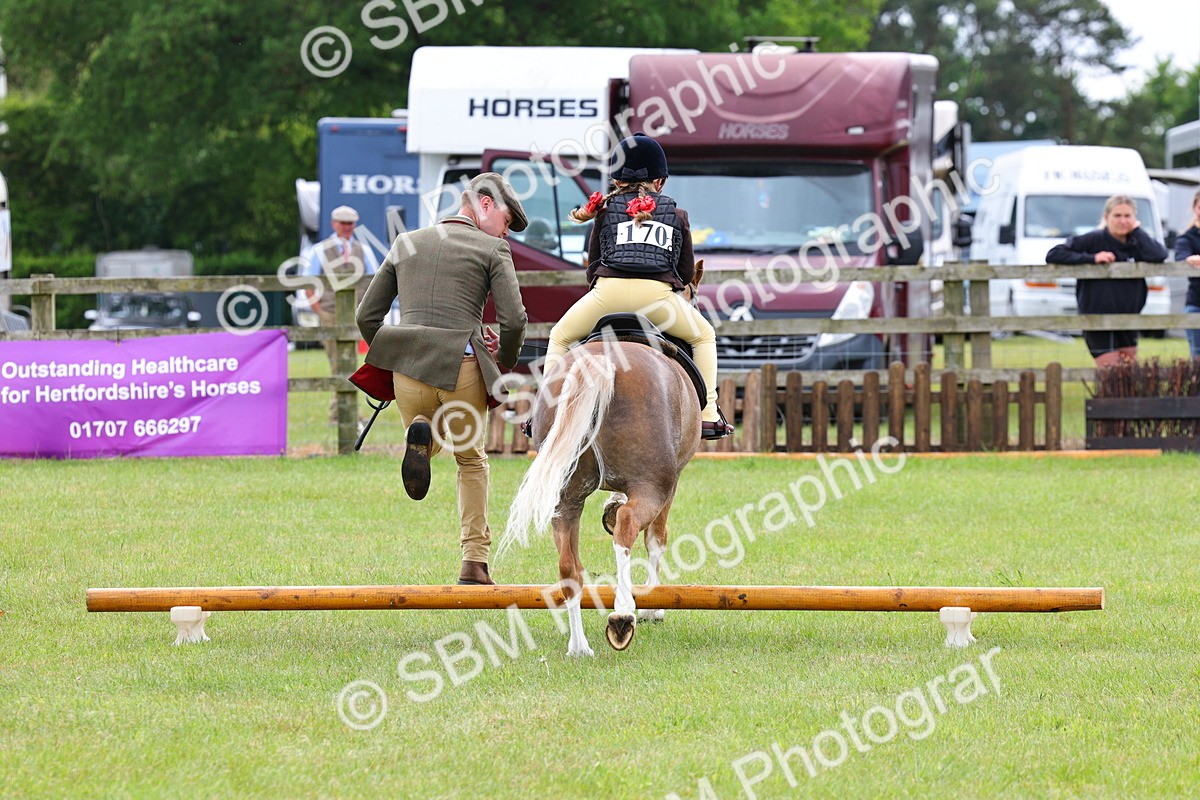 SBM_08176 - Class 42-43 - LIHS BSPS Heritage Working Sports Pony