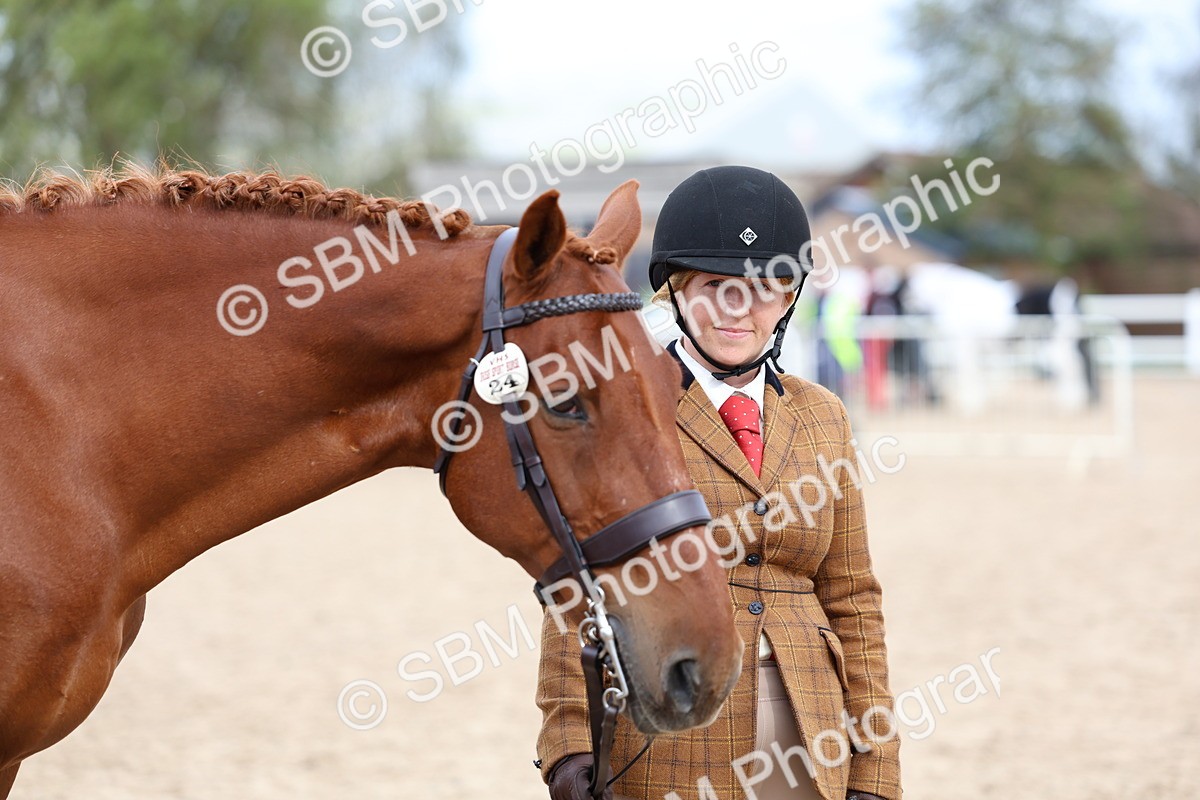 SBM_05782 - Class 28 - IH Veteran Horse