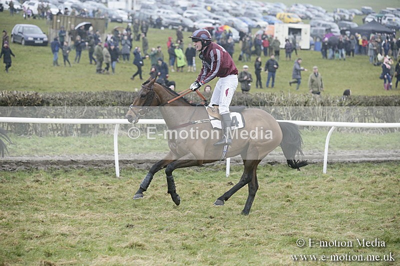PtP 020418 -333 - Old Berks Point-to-Point Races Easter Monday 02/04/18