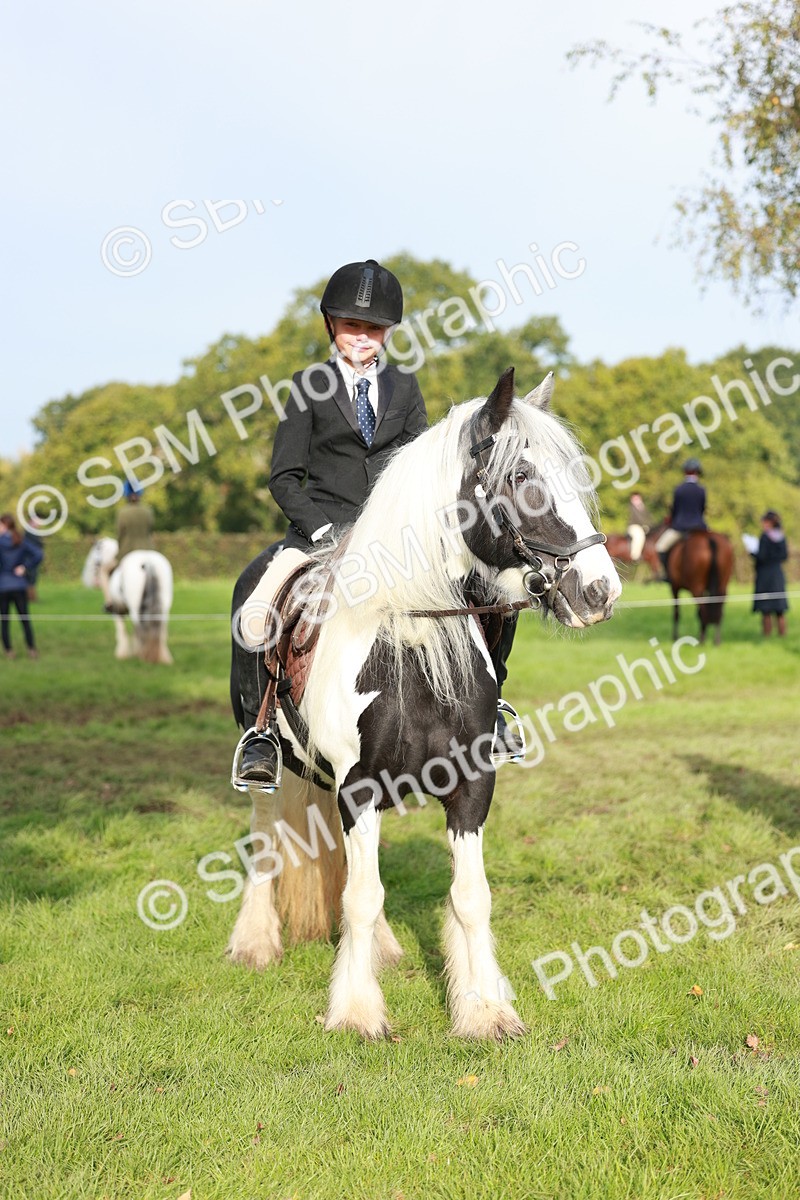 SBM_56425 - S39 - Starters In Hand Showing