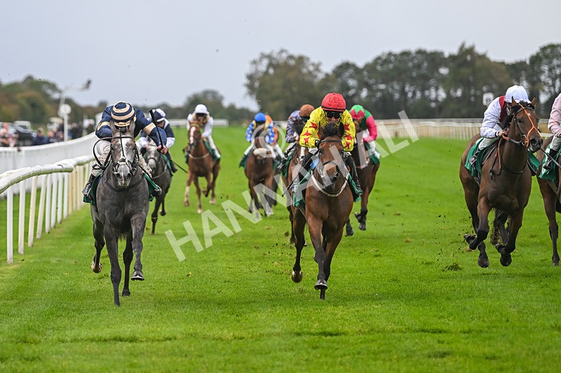 150925-Race 2-Rum Therapy-2389 - Race 2