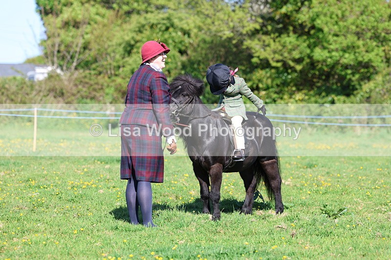 3E7A8783 - Class 2: Lead rein