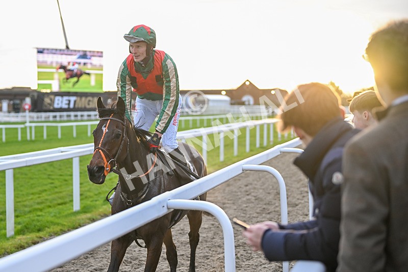 141224-Race 6-Jet Blue-2252